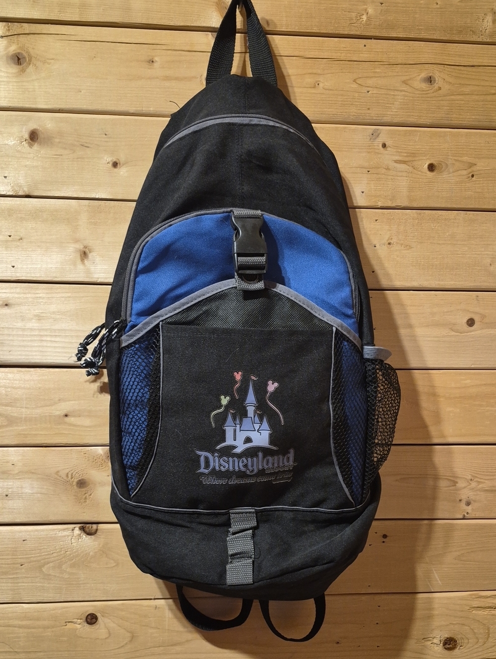 Disney Resort Backpack Where Dreams Come True